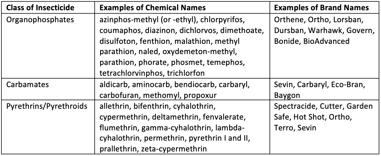 Types of Insecticides